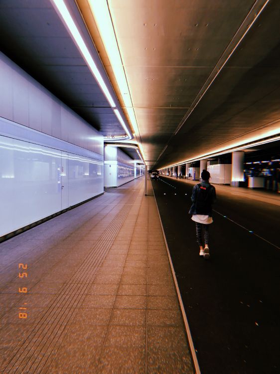 快速过境, 光, 基础设施, 天花板, 电力 壁纸 3024x4032 允许