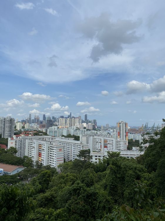 Torre de Bloques, Área Urbana, Barrio, Propiedad, Zona Residencial. Wallpaper in 1536x2048 Resolution