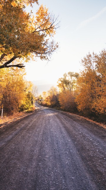 Image autumn, road, sulphur skyline trail, road trip, transport