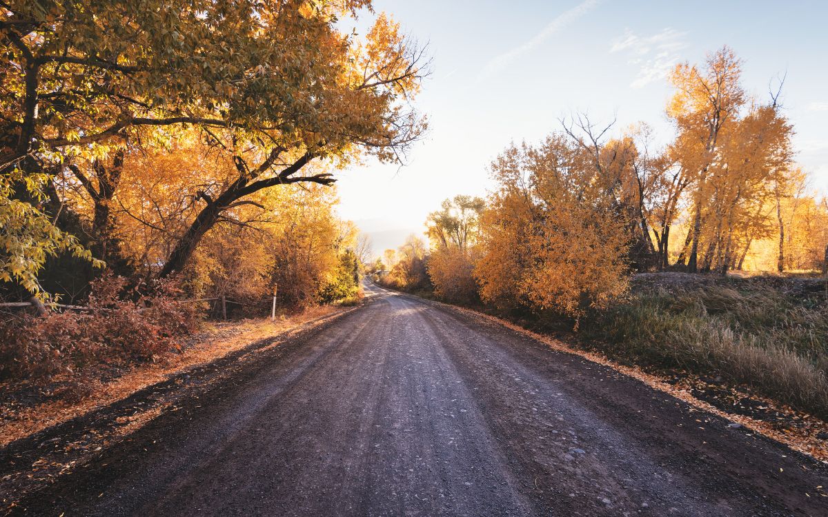 公路旅行, 运输, 街, 土路, 性质 壁纸 3840x2400 允许