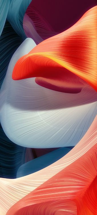 apples, hair, eye, light, human body