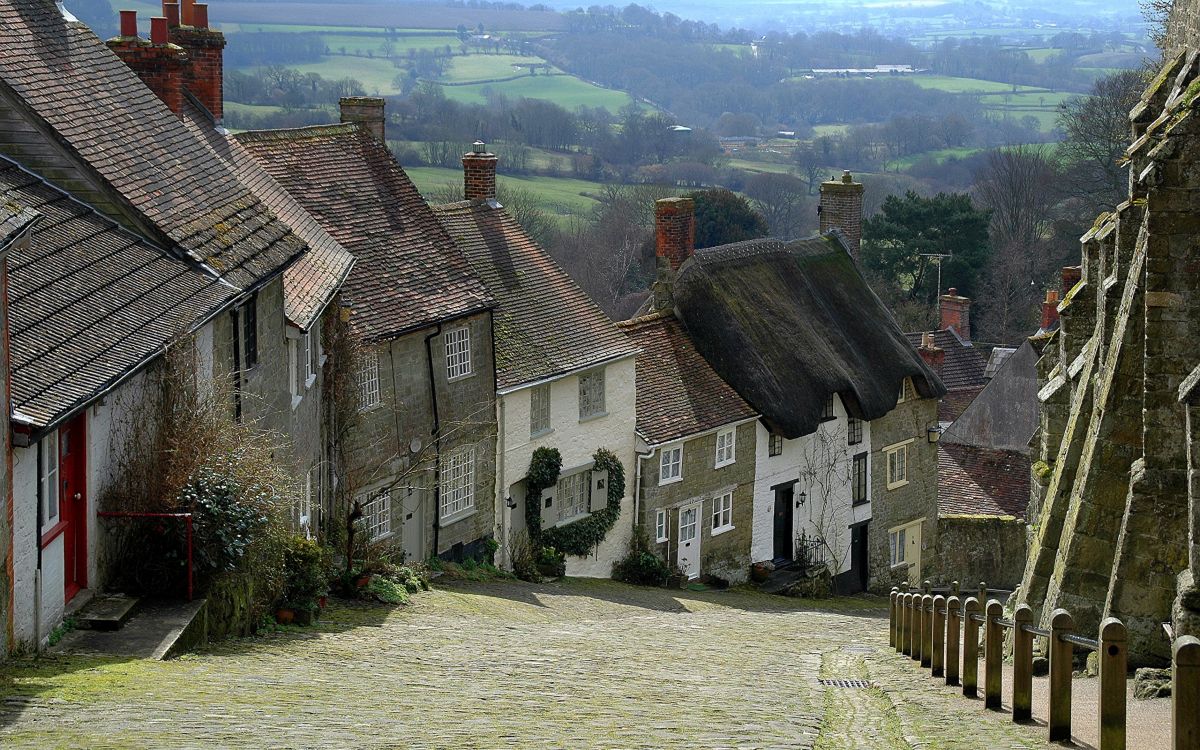 Maisons en Béton Gris Près du Champ D'herbe Verte Pendant la Journée. Wallpaper in 2560x1600 Resolution