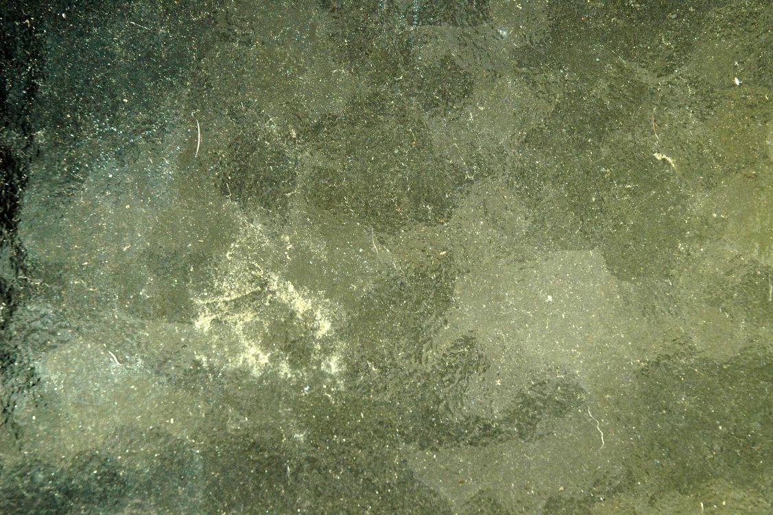 纹理, 绿色的, 建筑, 天空, 透明度 壁纸 2000x1330 允许