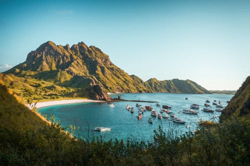 Image komodo national park, Komodo, padar island, Komodo dragon, labuan bajo