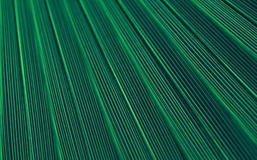 Image green and white striped textile