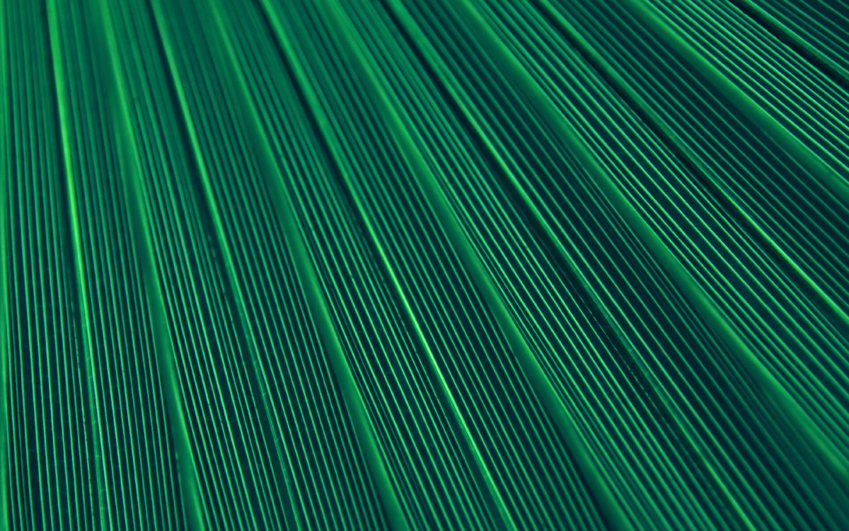 green and white striped textile