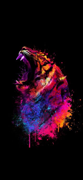 Obscurité, Rugissement, Magenta, Mâchoire, Carnivores. Wallpaper in 1080x2340 Resolution