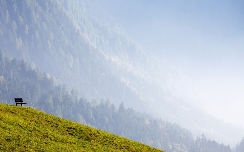 Image mount scenery, alps, tree, grassland, plant