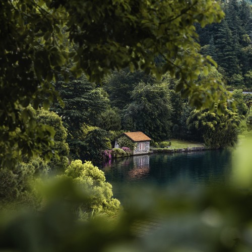 Image lake, natural landscape, nature, green, water