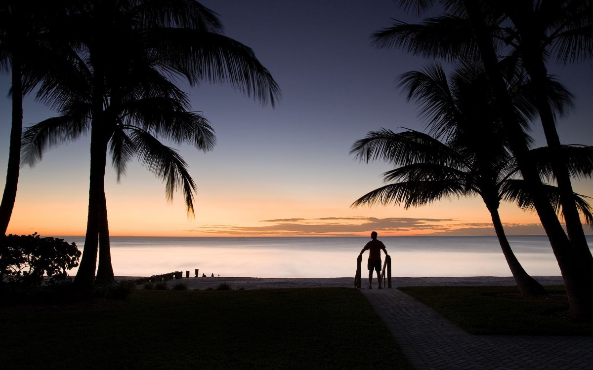 silhouette of people walking on beach during sunset