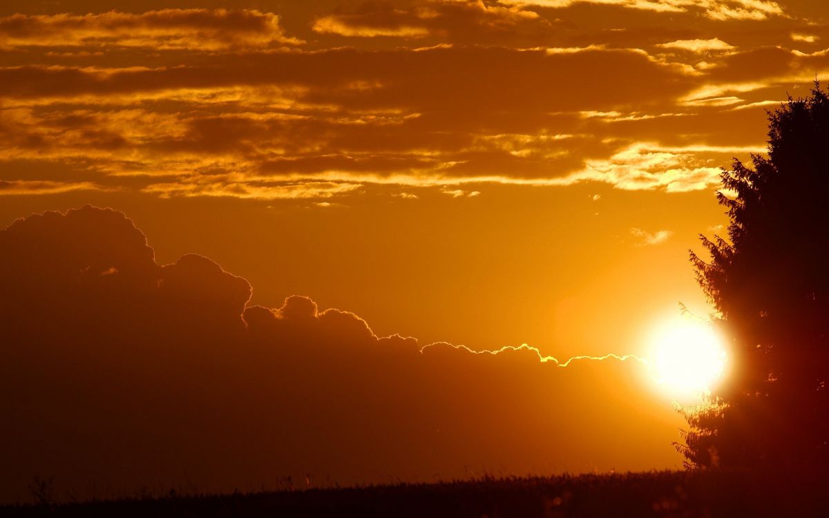 Vögel, Die Tagsüber Über Den Wolken Fliegen. Wallpaper in 2560x1600 Resolution