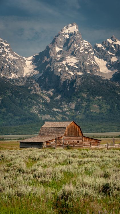 grand tetons, mountain, cloud, plant, nature