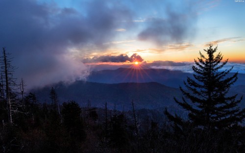 Image silhouette of trees and mountains under cloudy sky during sunset