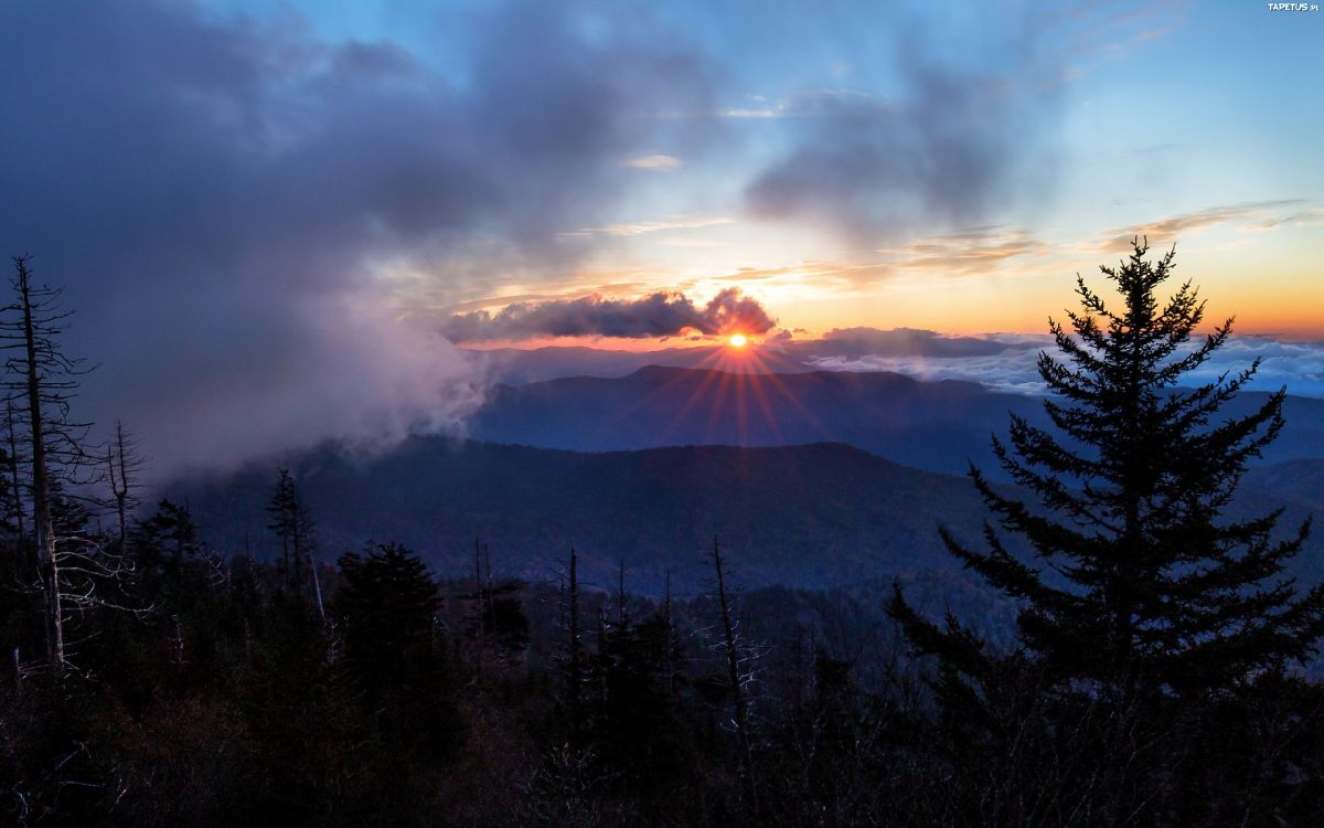 silhouette of trees and mountains under cloudy sky during sunset