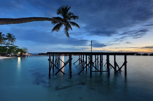 Image palm trees on beach during sunset