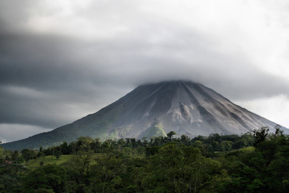 green trees and mountain under white clouds during daytime