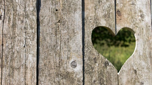 Image wood, heart, leaf, tree, Trunk