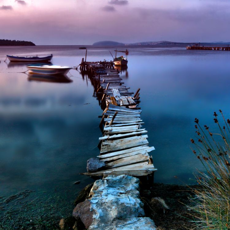 Segelfisch, Betriebssystem, Jolla, Linux, Stehend. Wallpaper in 2048x2048 Resolution