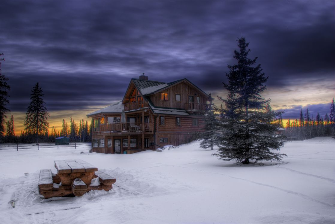 brown wooden house near green trees during daytime