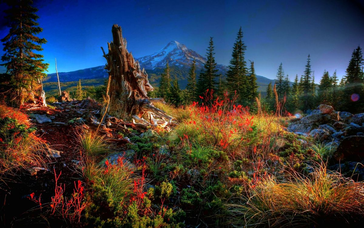 Tagsüber Grüne Und Braune Wiese in Der Nähe Des Berges Unter Blauem Himmel. Wallpaper in 2560x1600 Resolution