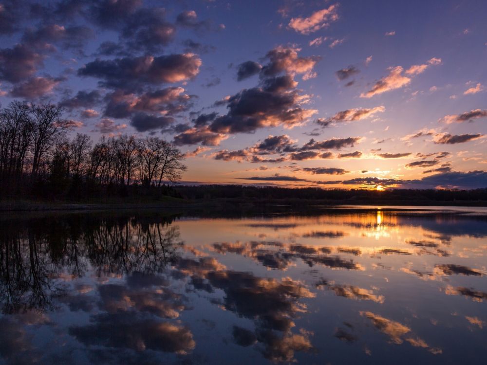 Gewässer in Der Nähe Von Bäumen Bei Sonnenuntergang. Wallpaper in 2048x1536 Resolution