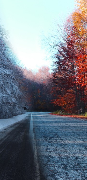 Image autumn, nature, winter, snow, road surface