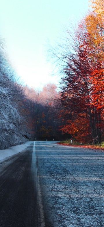 Image autumn, nature, winter, snow, road surface