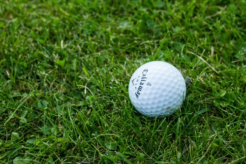 Image white golf ball on green grass field