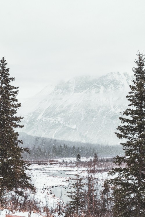 Image snow, winter, tree, freezing, mountain