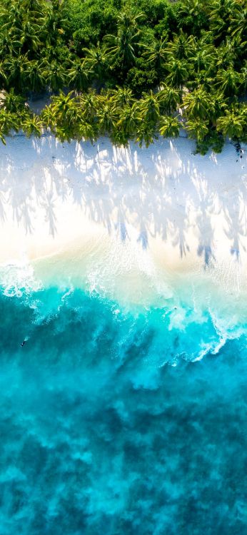 Poster, Displate, Schaffen, Wasser, Wasserressourcen. Wallpaper in 1080x2340 Resolution