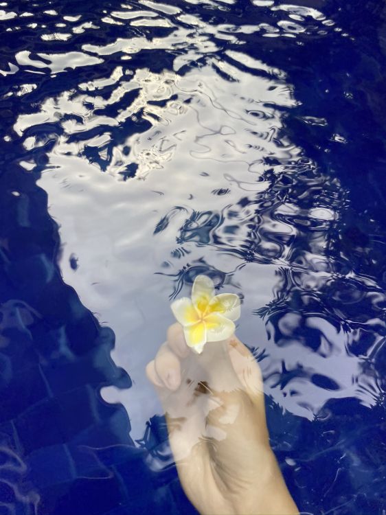 Wasser, Wissenschaft, Flüssigkeit, Wasserressourcen, Wasserlauf. Wallpaper in 1536x2048 Resolution