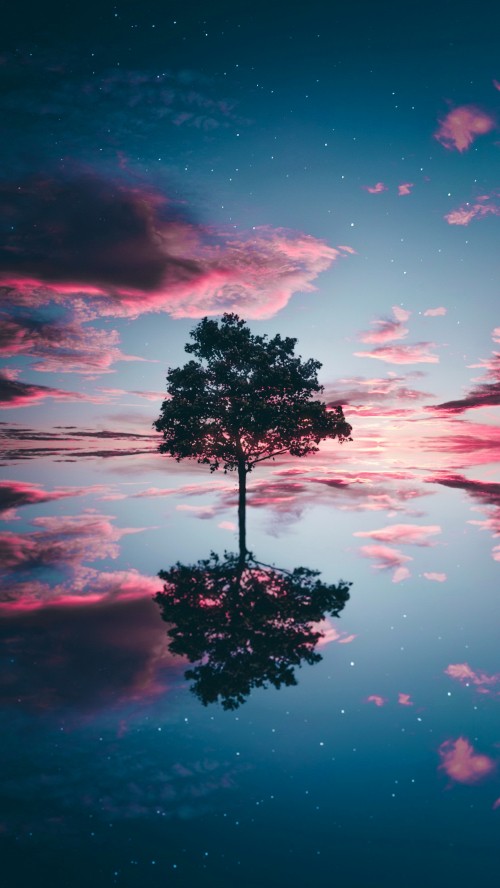 Image Loneliness, cloud, water, atmosphere, plant