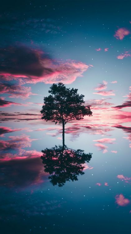 Solitude, Eau, Atmosphère, Nature, Paysage Naturel. Wallpaper in 1440x2560 Resolution