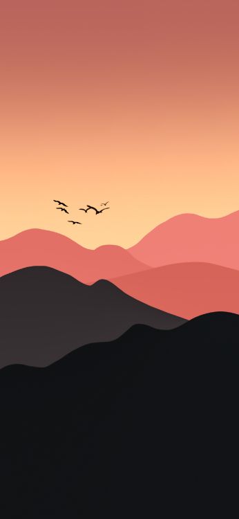 Oiseau, Atmosphère, L'écorégion, Afterglow, Orange. Wallpaper in 1284x2778 Resolution