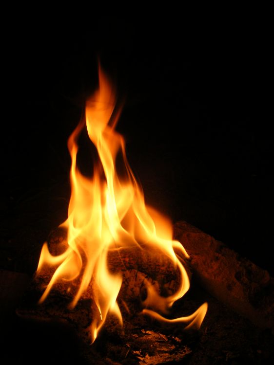 fire in the dark during night time