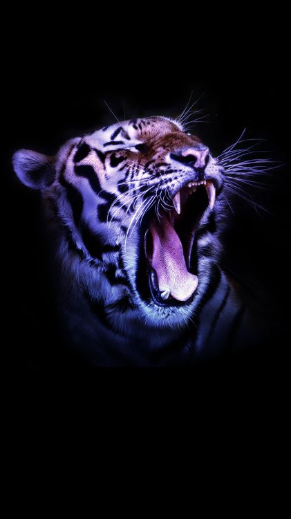 Motivation, quotation, motivational quote, inspirational quote, roar