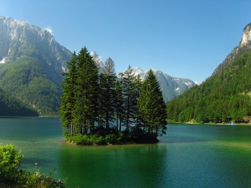 Image green pine trees near lake and mountain range