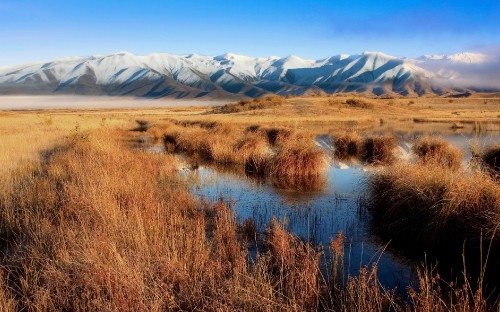 Image brown grass near lake and snow covered mountains during daytime