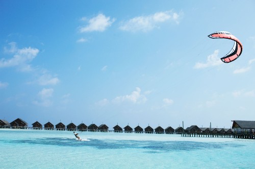 Image people swimming on beach during daytime