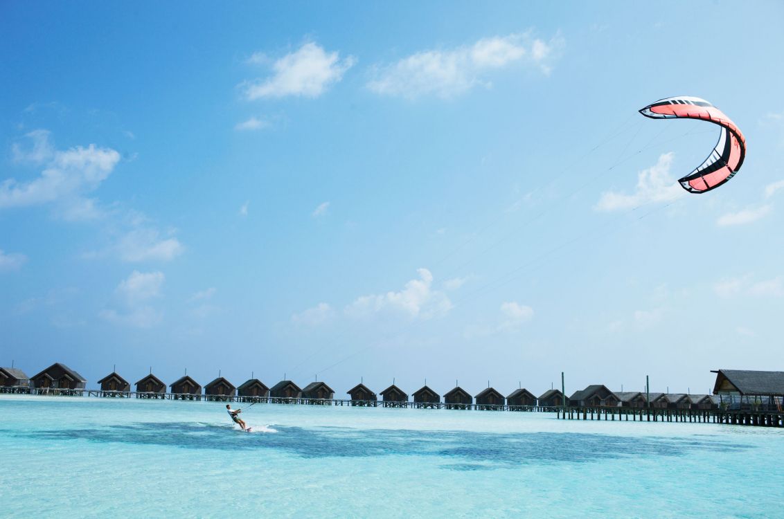 people swimming on beach during daytime