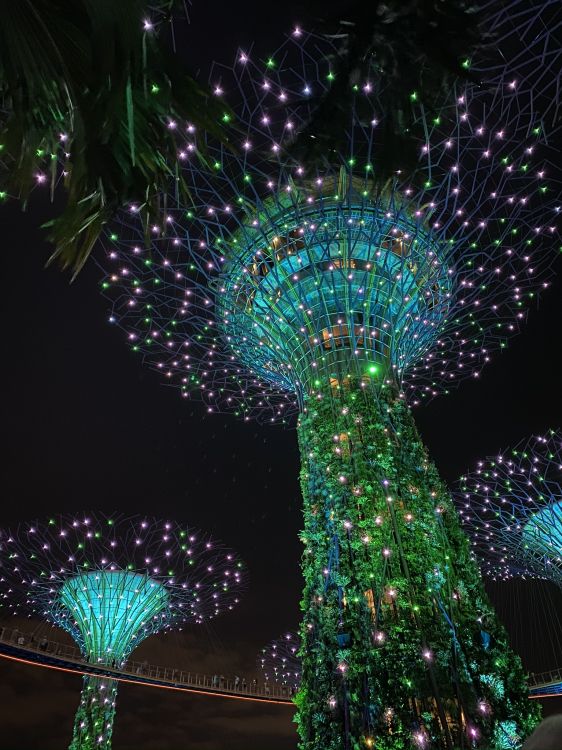 Singapur, Licht, Weihnachtsbeleuchtung, Gr, Weihnachtsdekoration. Wallpaper in 1536x2048 Resolution