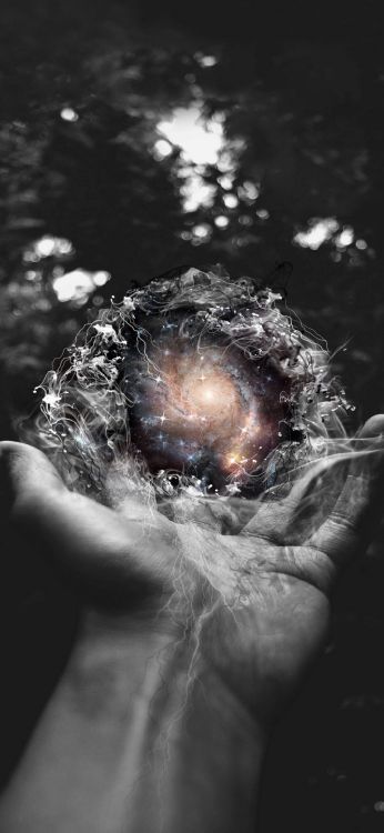 Wasser, Baum, Gras, Astronomisches Objekt, Kreis. Wallpaper in 1080x2340 Resolution