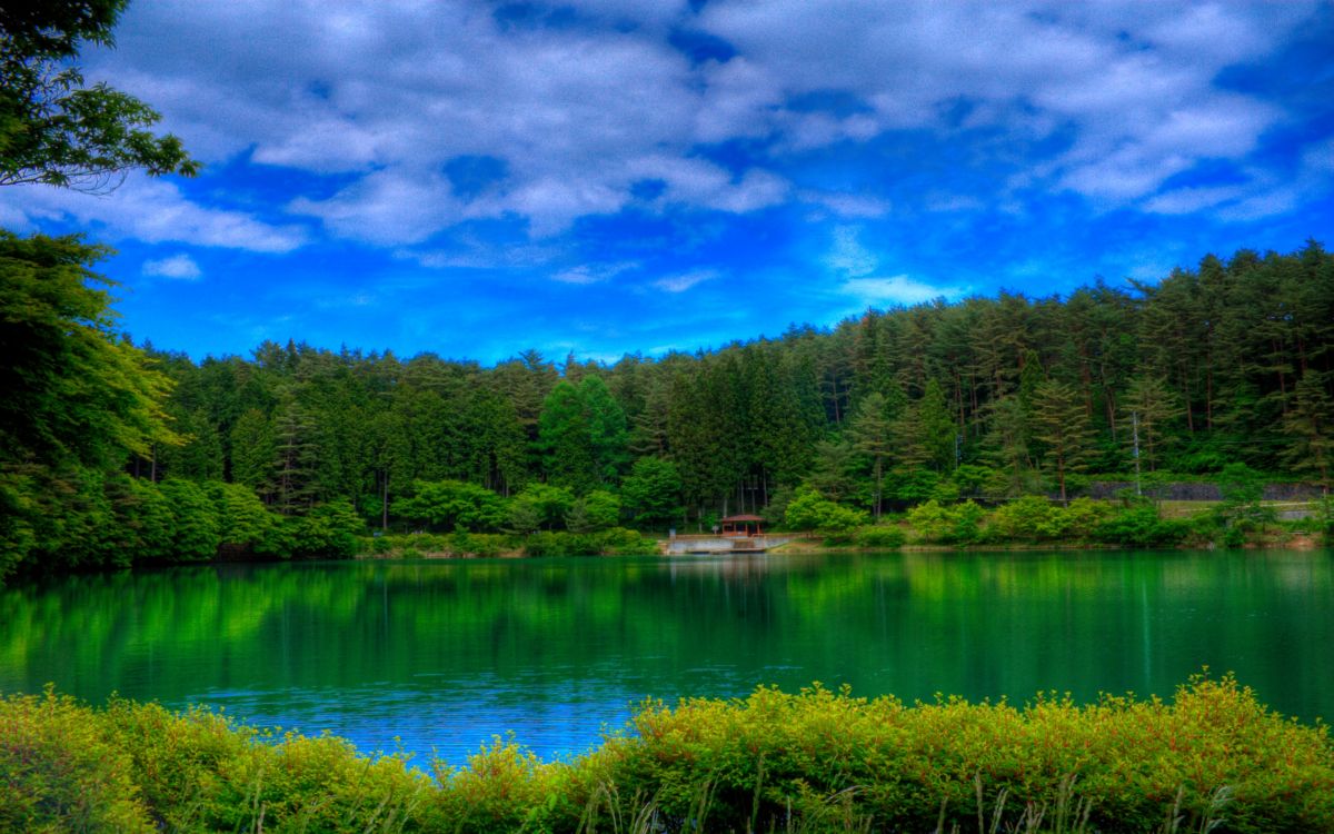 Grüne Und Rote Bäume Neben Dem Fluss Unter Blauem Himmel. Wallpaper in 2560x1600 Resolution