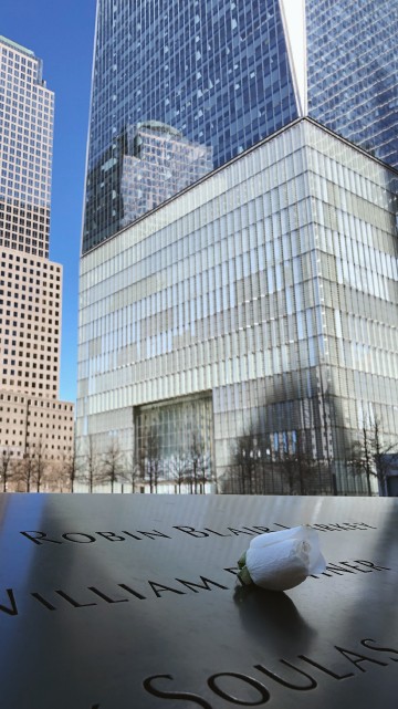 Image high rise building near body of water during daytime