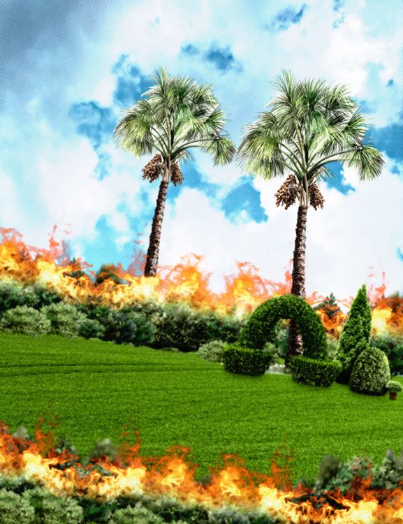 性质, 植物群, 绿色的, 自然环境, 自然景观 壁纸 1248x1620 允许