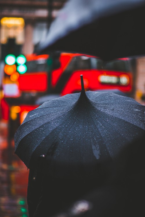 Image person in black umbrella walking on street during night time