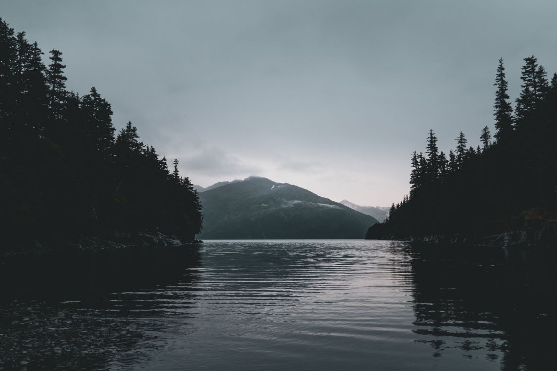 sound, mountain, wilderness, inlet, fog