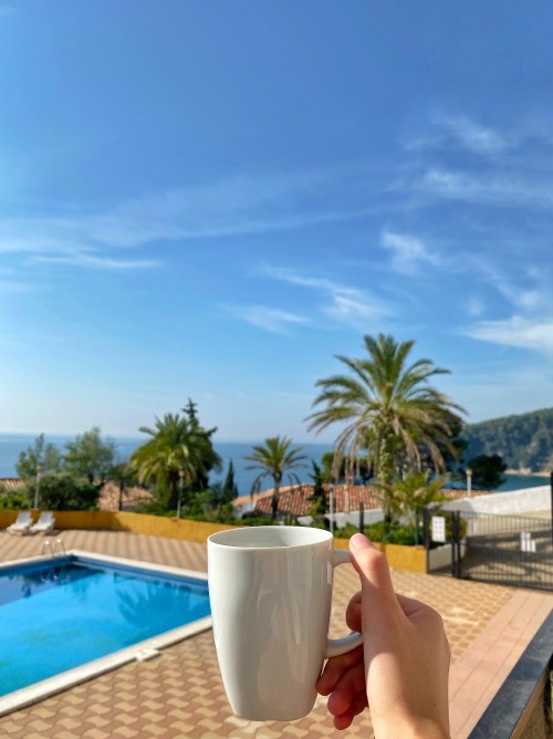 Image Swimming pool, palm trees, real estate, azure, aqua