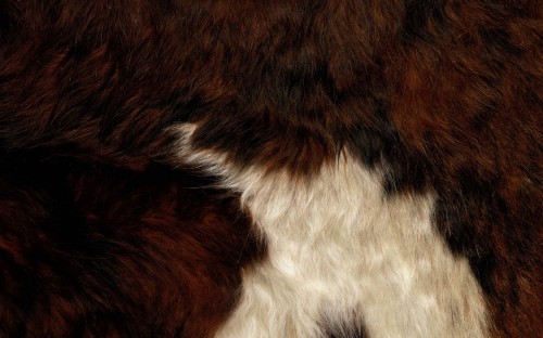 Image brown and white fur textile