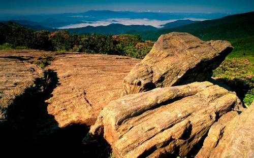 Image brown rock formation near green trees during daytime